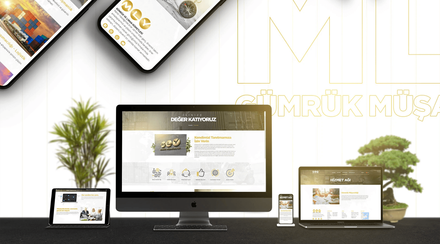 MLY Customs Consultancy